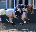 jem_pearce_Buster_edited.jpg
